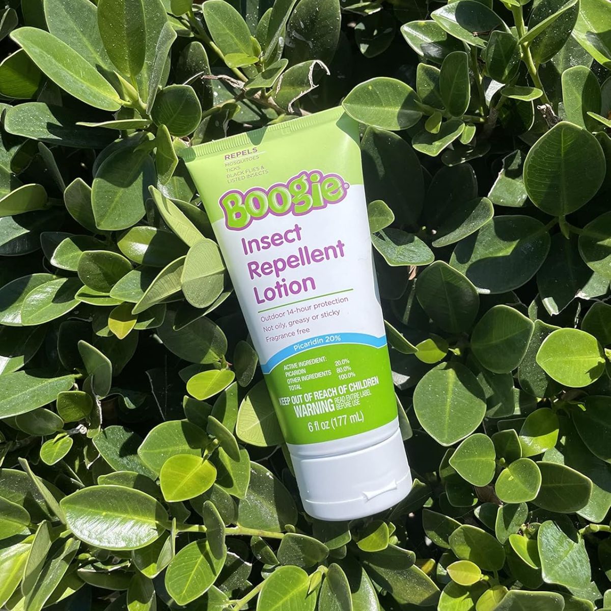 Boogie Insect Repellent Lotion with 20% Picaridin(Unscented) - 6.0 oz - Long Lasting Broad Spectrum Protection